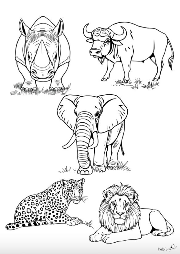 Ausmalbilder Tiere Afrika