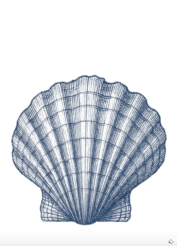 Schönes Wandbild mit Jakobsmuschel in Blau