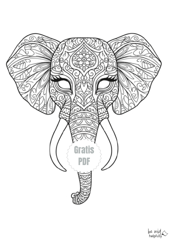 Detailliertes Mandala zum Ausdrucken und Ausmalen mit Elefantenkopf