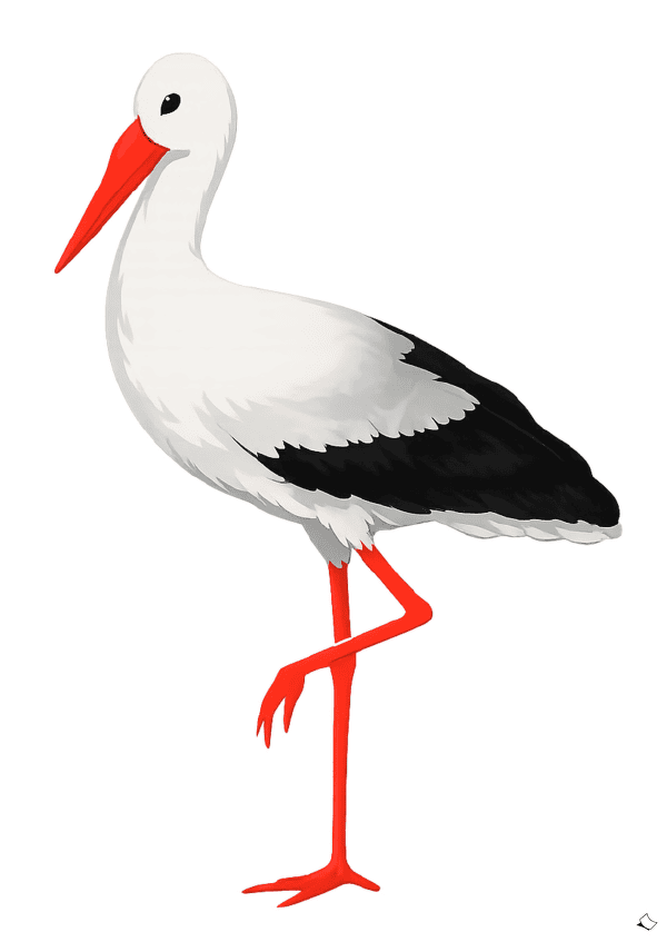 Storch zum Ausdrucken mit Blick nach links