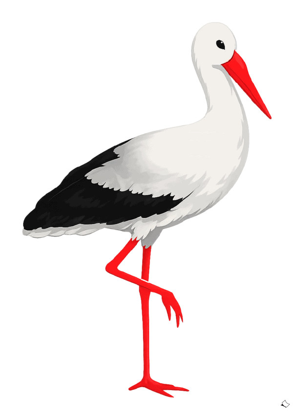 Storch zum Ausdrucken mit Blick nach rechts