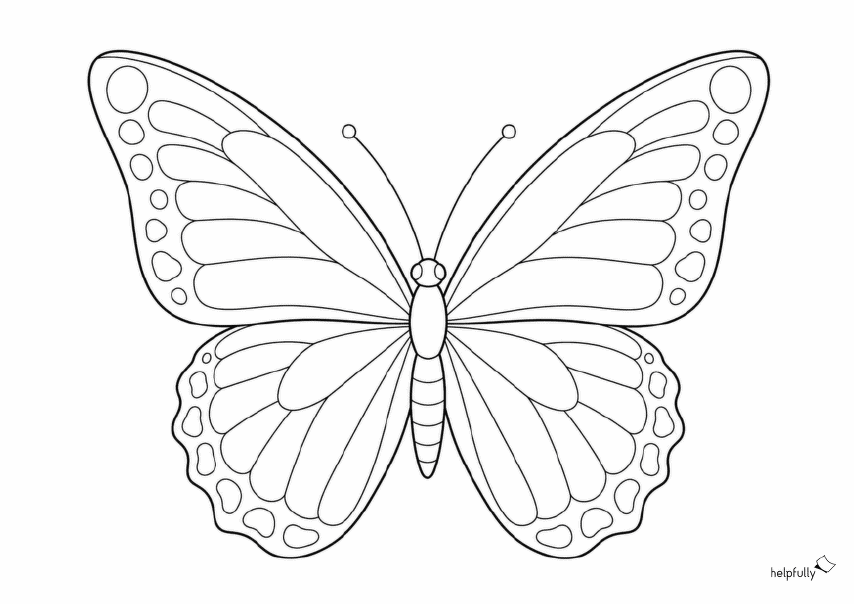 Schöner Schmetterling als Ausmalbild zum Ausdrucken