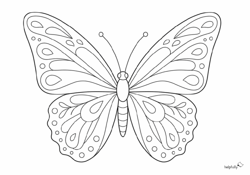 Ästhetischer Schmetterling als Ausmalbild zum Ausdrucken, gratis Vorlage