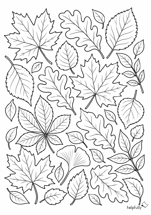 Herbstblätter zum Ausmalen, Ausschneiden und Basteln als gratis Vorlage